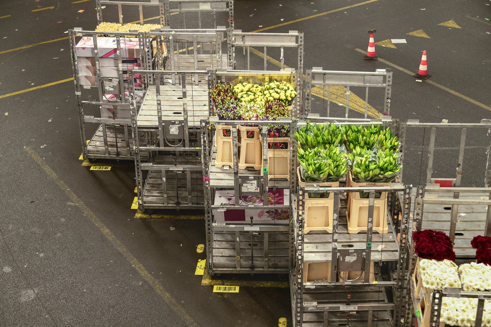 Transport réfrigéré des fleurs : conseils pour le secteur floral